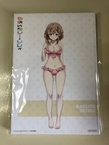 모멘터리 릴리 카스미 렌게 캐릭터 파인 보드