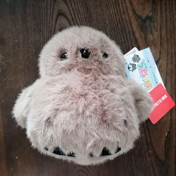 익명 당일 발송 움직이는! 장난꾸러기 봉제 인형 아기 펭귄 다이토 한정품