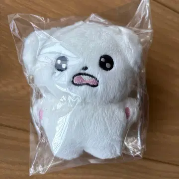 NCT DREAM 제노 봉제 인형 마스터