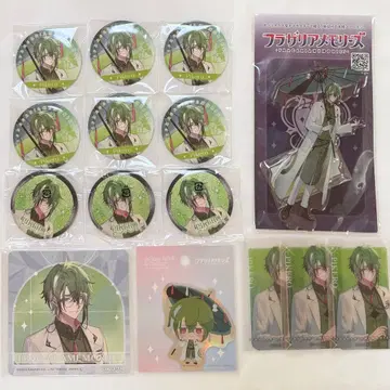 플라가리아 메모리즈 피케로 묶음 판매