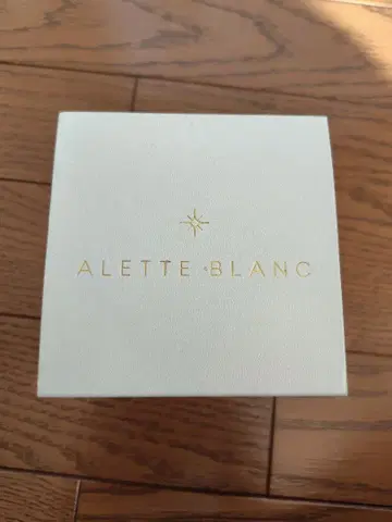 ALETTE BLANC 아날로그 시계