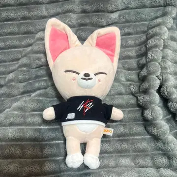 skzoo 스키즈 폭시니