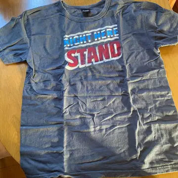 SCREEN STARS BEST 그레이 T셔츠 L