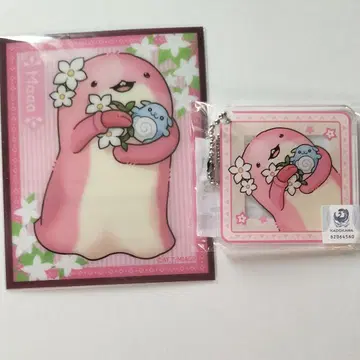 마아아 씨 마루쿠지