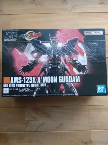 HG AMS-123X-X MOON GUNDAM