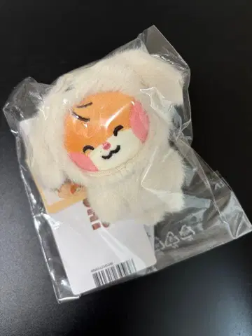 [ 한정 특가 ] ZB1 제로니 포토 홀더 비니니 한빈