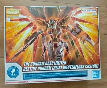 미개봉 새상품 MG 데스티니 건담 하이네 커스텀