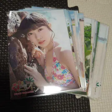 AKB48 하와이는 하와이 와타나베 미유키 브로마이드 20종