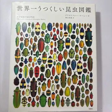 세상에서 가장 아름다운 곤충 도감