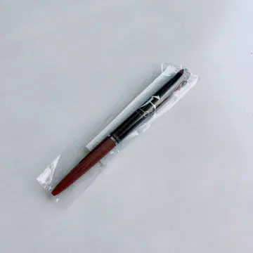 치. 지구의 운동에 대하여 볼펜