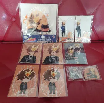 가정교사 히트맨 REBORN! 사와다 츠나요시