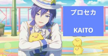 프로세카 KAITO 묶음 판매