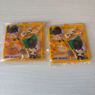 WINDBREAKER 윈블 사쿠라 하루카 플랫 컬렉션 2개 세트