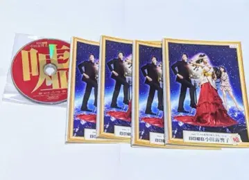 영능력자 오다기리 쿄코의 거짓말 DVD 전권 세트