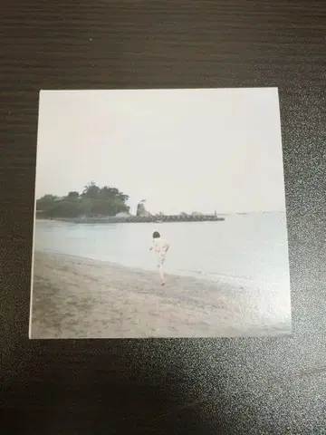 시바타 사토코 바다에 가자 단종