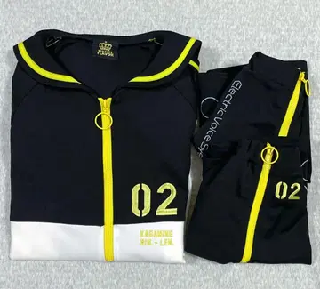 [ 익명 배송 ] 카가미네 린 카가미네 렌 리슨 플레이버 저지 레그 커버