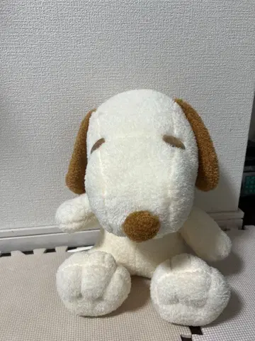 강아지 봉제 인형