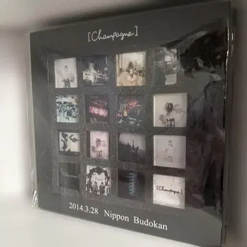 Alexandros Champagne 드로스 샴페 캔뱃지 무도관