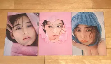 신키 유코 클리어 파일