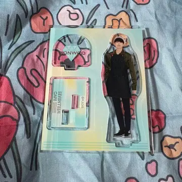 seventeen 원우 세부치 카페