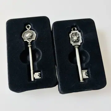 바이오하자드 복권 C상 1/1 스케일 양관의 열쇠 2종 세트 투구 갑옷