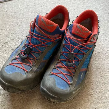 Salewa 트레킹 슈즈 로우컷