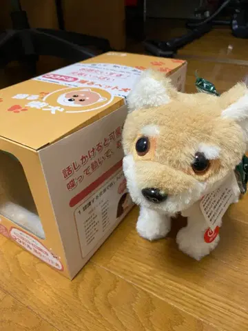 코코돌 춤추는 반려동물 시바견