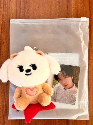 TXT 범규 봉제 인형 키링