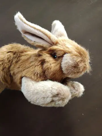 토끼 봉제 인형 A-SHOW ORIGINAL