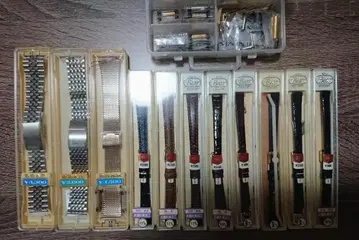 Bear 시계 밴드와 부품 세트