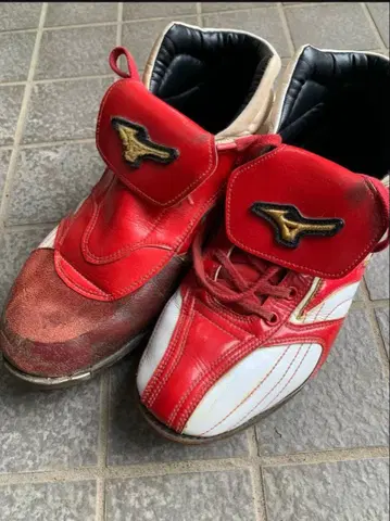 미즈노 프로 오더 스파이크 27.5