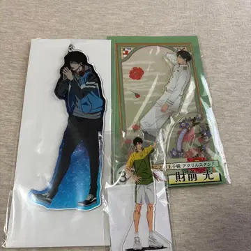 테니프리 테니스의 왕자님 자이젠 히카루 아크릴 스탠드