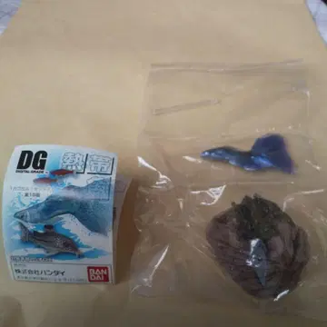 디지털 그레이드 열대어 모스코 블루 구피