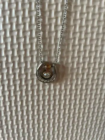 말굽형 실버 목걸이