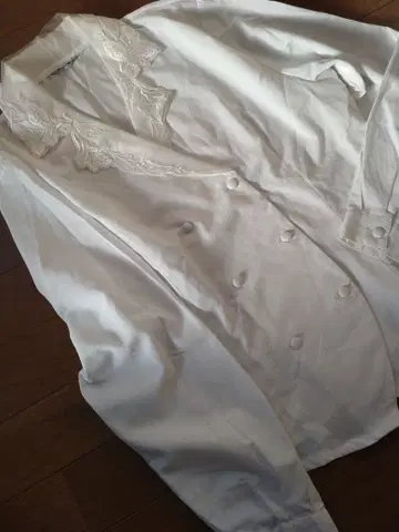 시어 옷깃 더블 단추 블라우스