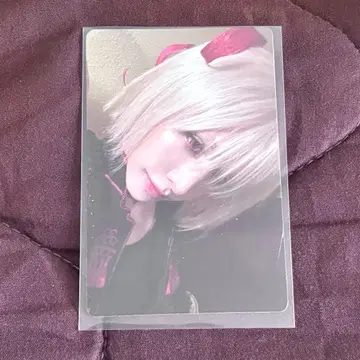 움티 트레이딩 카드 UXLXVE xlov 앨범