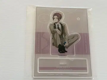 블루 록 이토시 사에 mocha suit