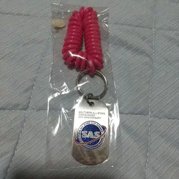 [ 새상품 미개봉 ] 서던 여름의 대감사제 30주년 기념 키링