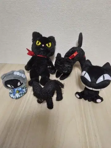 검은 고양이 봉제 인형 5개 세트