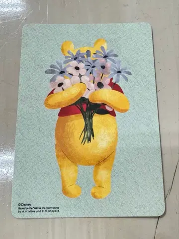 디즈니 스토어 가와구치 아리오 20주년