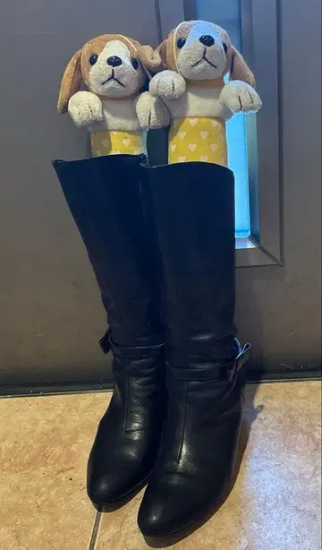 롱 부츠 히미코 리본 벨트 water massage