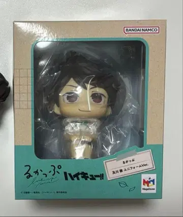 오이카와 토오루 룩업