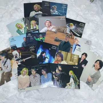 미세스 포토 카드 젠진 Harmony 팝업