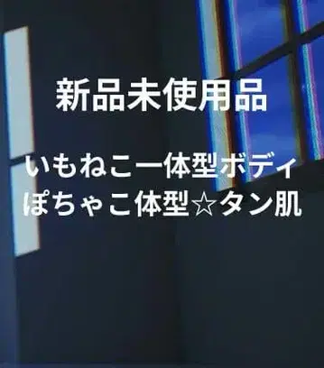 고양이 일체형 포차코 체형 MDD 모치아시 탄 피부 돌피드림