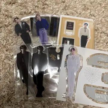 straykids 리노 아크릴 스탠드 트레이딩 카드