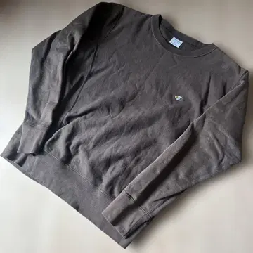 상태 Champion Reverse Weave