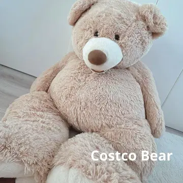 곰 봉제 인형 Costco