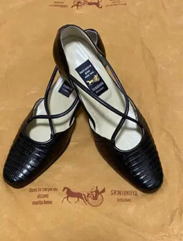 테주(이구아나) 힐