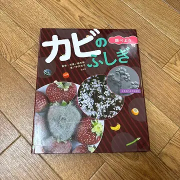 곰팡이의 불가사의 조사하자