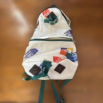 THE NORTH FACE 로고 프린트 백팩